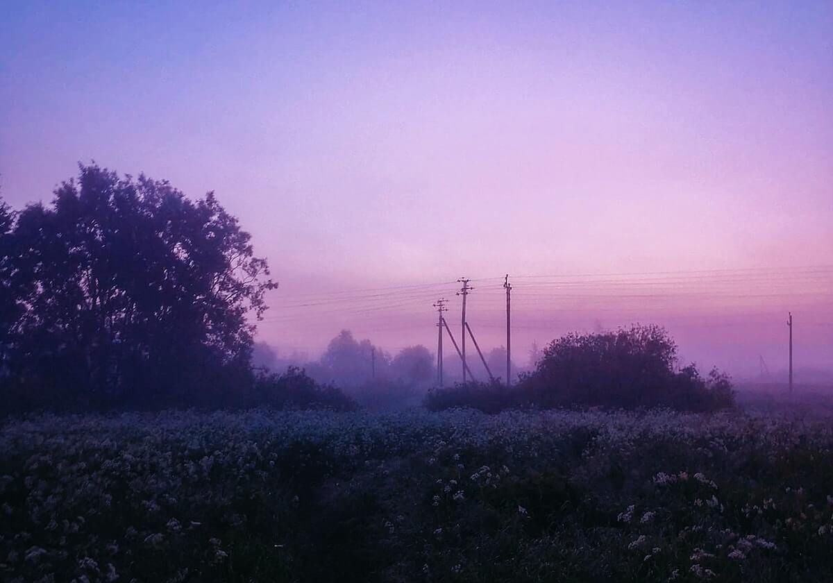 OD体育官网-【奥运男足】理查利松帽子戏法 巴西4比2德国